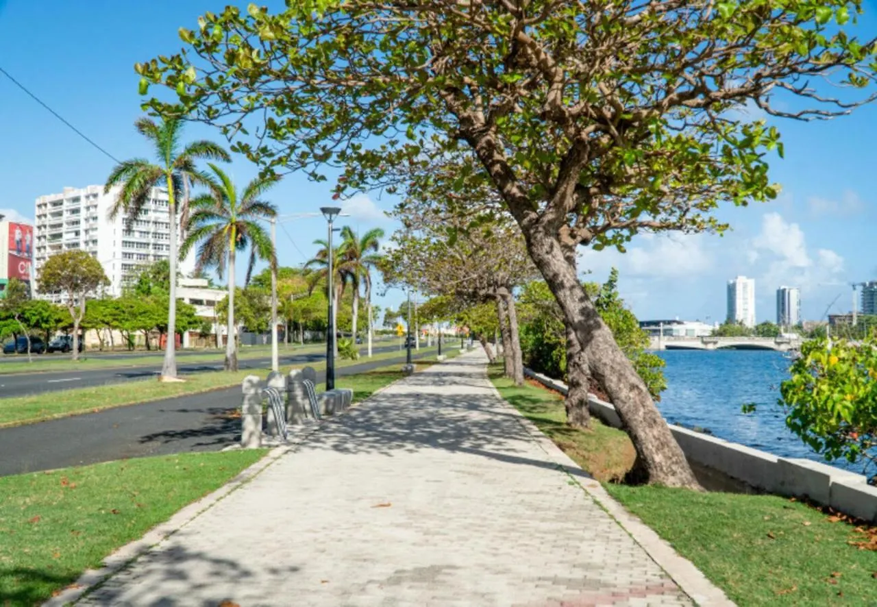Апартаменты Prime Location At Condado Beach 4Br 3 Ba - Apt 1 & 4 Сан-Хуан Пуэрто-Рико